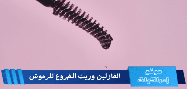 الفازلين وزيت الخروع للرموش