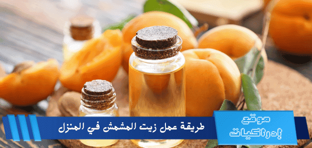 طريقة عمل زيت المشمش في المنزل