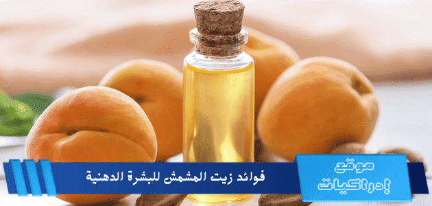 فوائد زيت المشمش للبشرة الدهنية